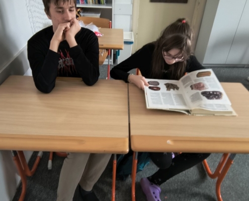 probírali jsme různá zvířata a rostliny