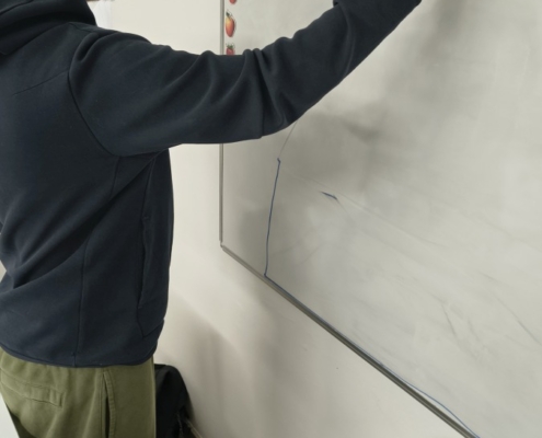 probírali jsme různá zvířata a rostliny