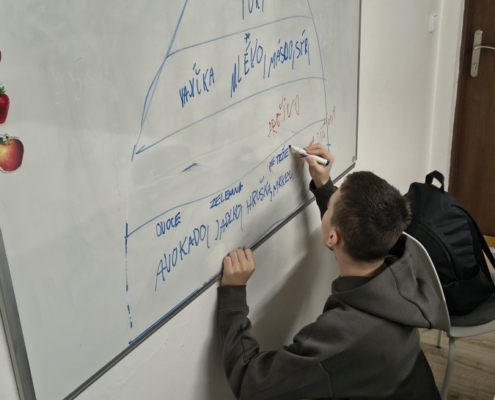 probírali jsme různá zvířata a rostliny