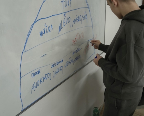 probírali jsme různá zvířata a rostliny