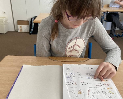 procvičování čtení, hra s písmenky, stříhání, skládání slabik a slov