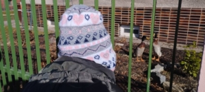 vydali nakupovat do nedaleké večerky