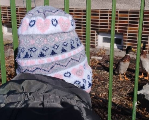 vydali nakupovat do nedaleké večerky