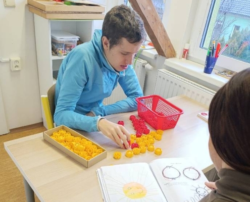 v češtině skládali slova pomocí magnet. písmen, četli jsme z čítanky, globální čtení