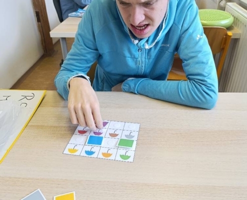 v češtině skládali slova pomocí magnet. písmen, četli jsme z čítanky, globální čtení