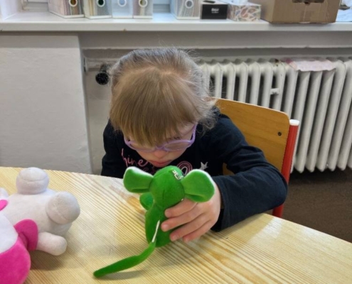 matematika, český jazyk, malování, sociální dovednosti, terapie loutkou