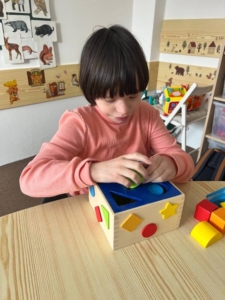 matematika, český jazyk, malování, sociální dovednosti, terapie loutkou