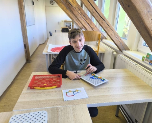 individuální výuka, koncert, divadlo, plavání, pracovní činnosti