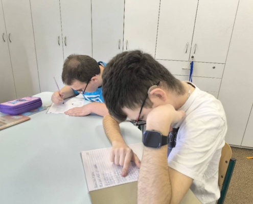 individuální výuka, koncert, divadlo, plavání, pracovní činnosti