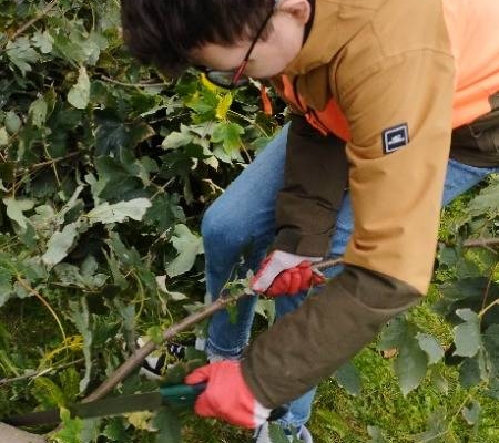 Mix fotografií z tohoto týdne