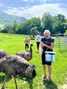 Také jme navštívili farmu