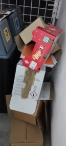 starší pomohli těm mladším správně vytřídit odpad